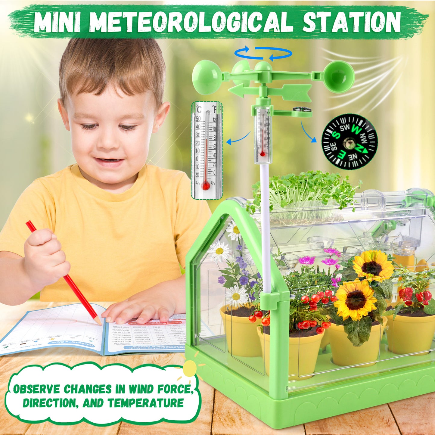 Huge Wave Kids Gardening Plant Growing Set, Greenhouse Flower Terrarium Set, Dual Cultivation Mode, with Wind Vane & Thermometer, Birthday Gift for Boys Girls Aged 4-8