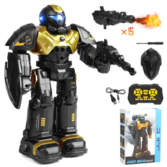 RC Robot Toy for Kids Ages 5-7,Programmable Robot, Gesture Sensing Remote Control Robot for Kids 3-6 Years, Christmas Birthday Gift